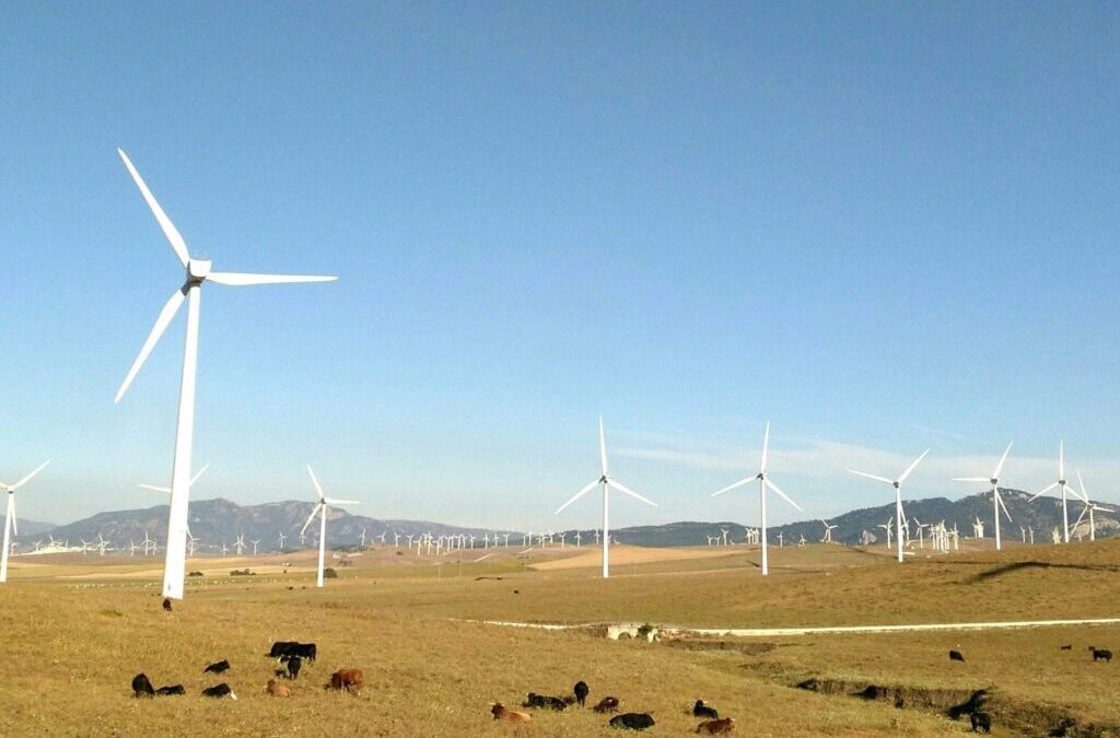 Énergéticien: transformer le stress en sérénité grâce aux thérapies énergétiques